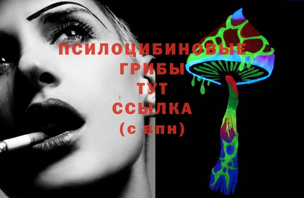 стаф Гусиноозёрск