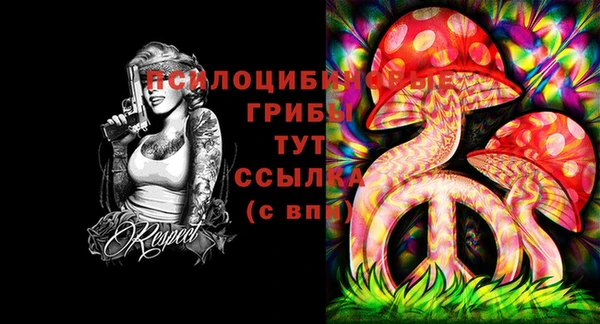 стаф Гусиноозёрск