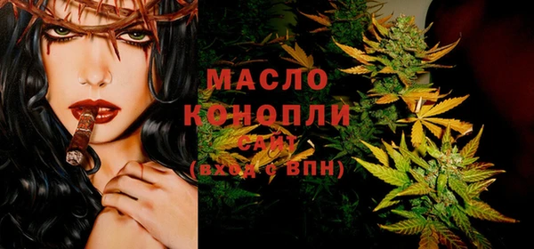 сатива Архангельск