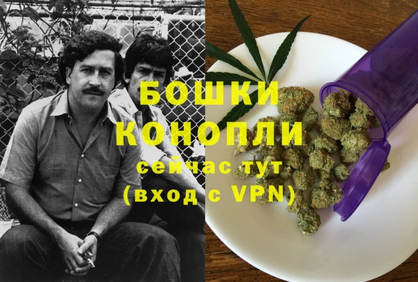 первитин Гусь-Хрустальный