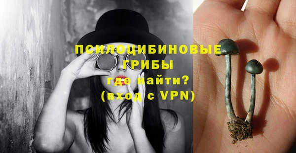 первитин Гусь-Хрустальный
