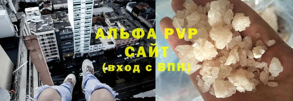 стаф Гусиноозёрск